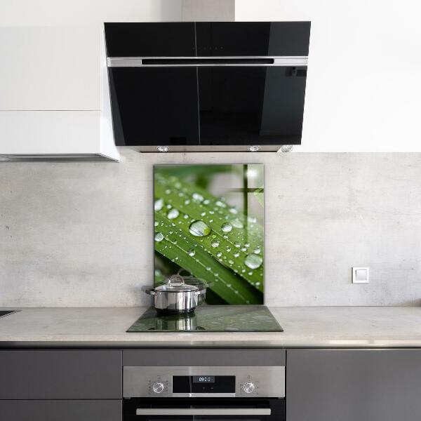 Zidna obloga za kuhinju Kaplje rose na travi