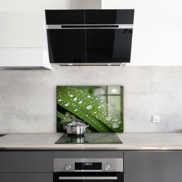 Zidna obloga za kuhinju Kaplje rose na travi