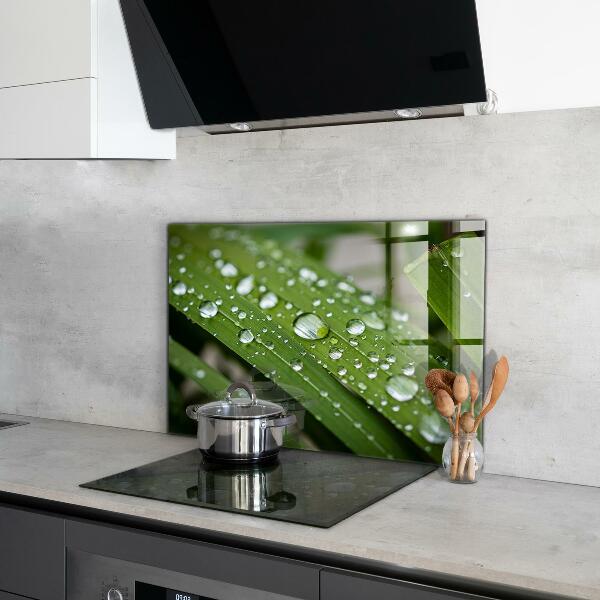 Zidna obloga za kuhinju Kaplje rose na travi