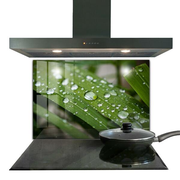 Zidna obloga za kuhinju Kaplje rose na travi