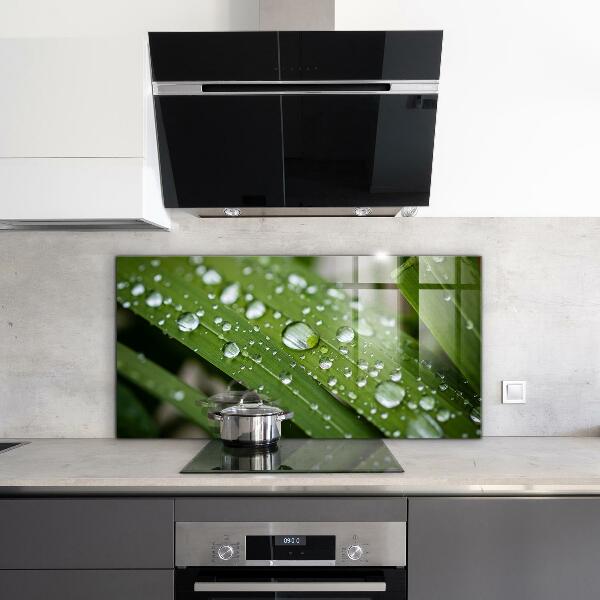 Zidna obloga za kuhinju Kaplje rose na travi