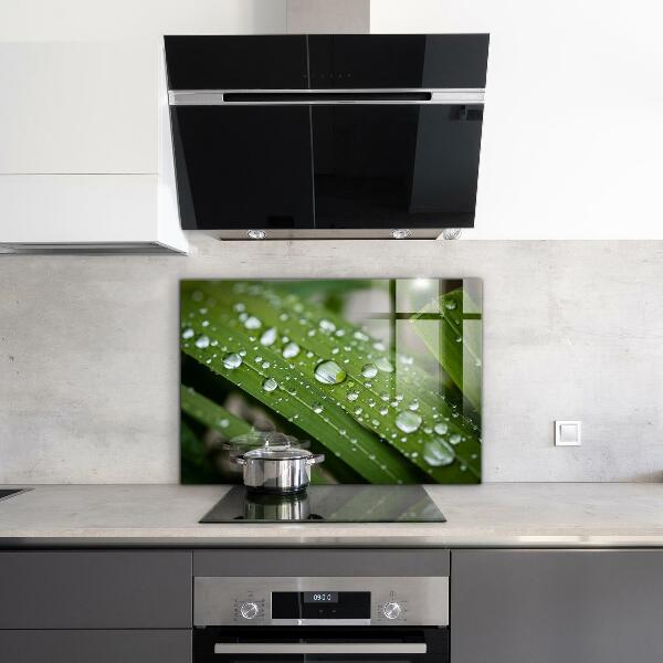 Zidna obloga za kuhinju Kaplje rose na travi