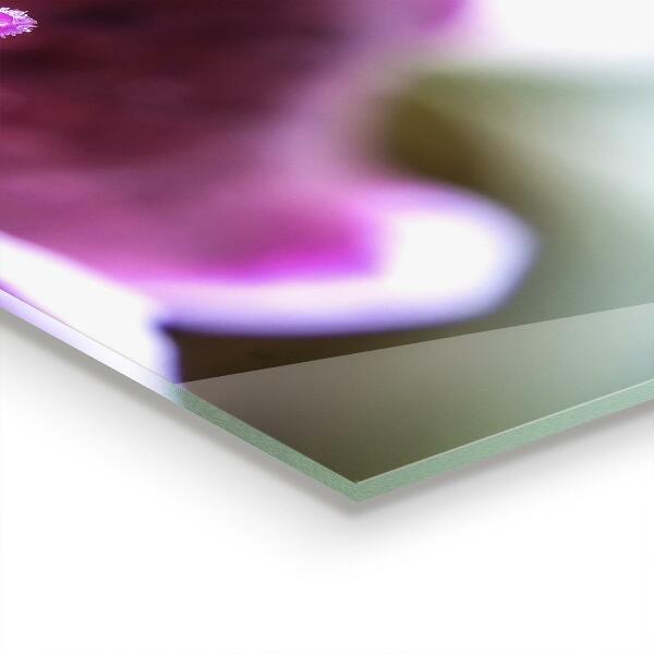 Zidna obloga za kuhinju Podrobnosti o naravi roza rože