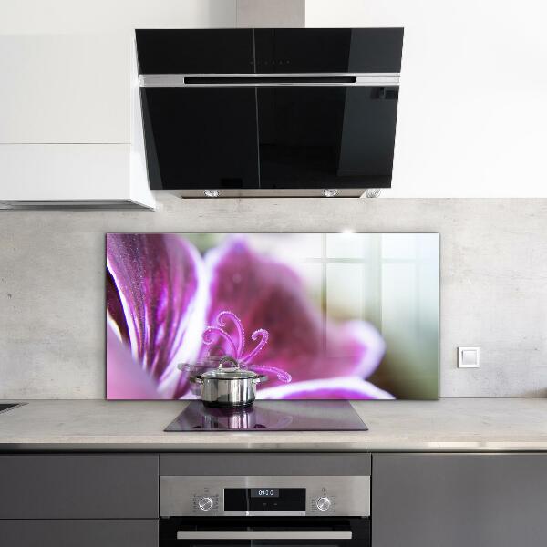 Zidna obloga za kuhinju Podrobnosti o naravi roza rože