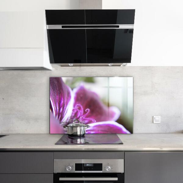 Zidna obloga za kuhinju Podrobnosti o naravi roza rože