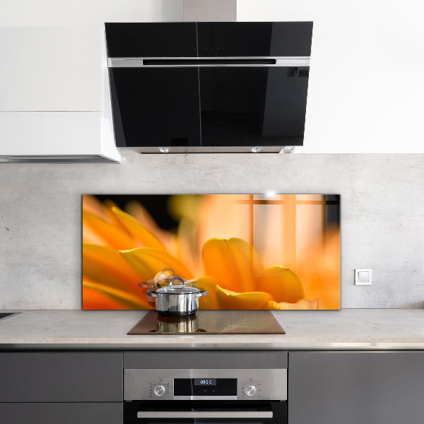 Zidna obloga za kuhinju Gerberjev cvet