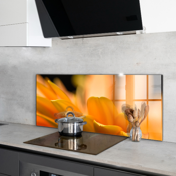 Zidna obloga za kuhinju Gerberjev cvet