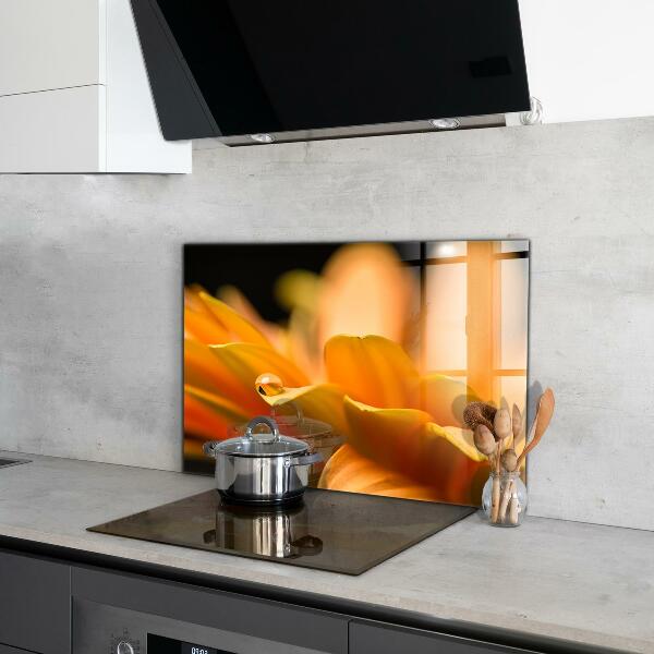 Zidna obloga za kuhinju Gerberjev cvet