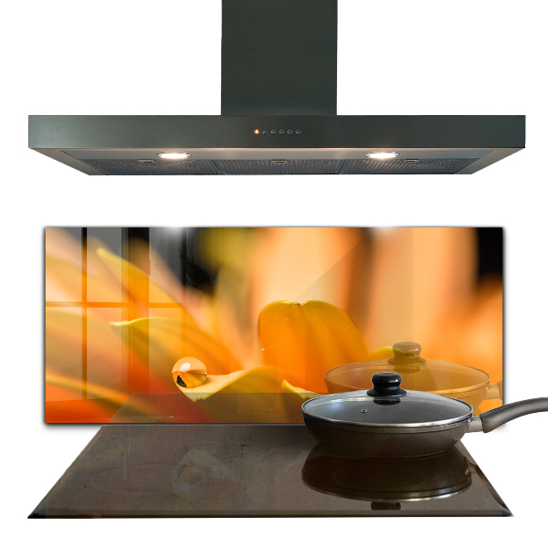 Zidna obloga za kuhinju Gerberjev cvet