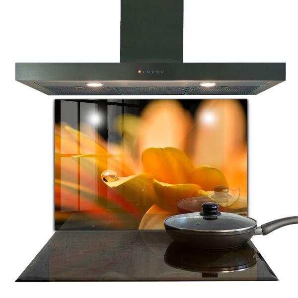 Zidna obloga za kuhinju Gerberjev cvet