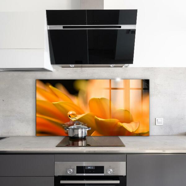 Zidna obloga za kuhinju Gerberjev cvet