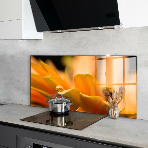 Zidna obloga za kuhinju Gerberjev cvet