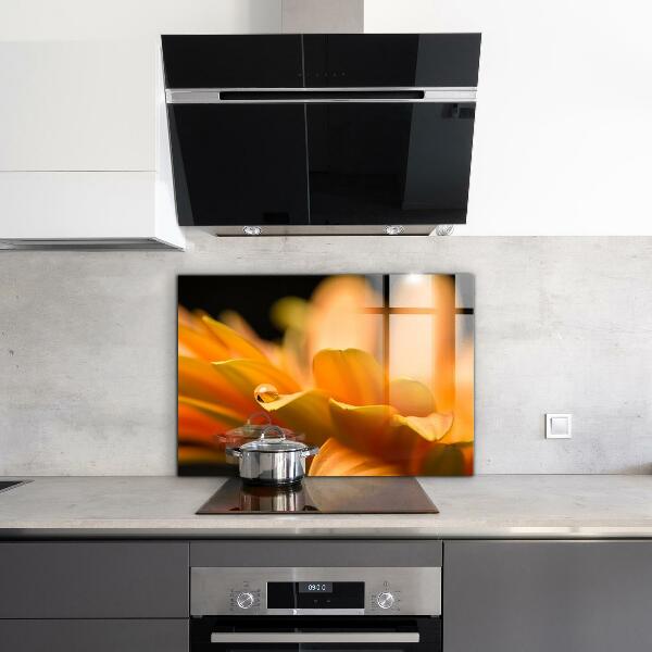 Zidna obloga za kuhinju Gerberjev cvet