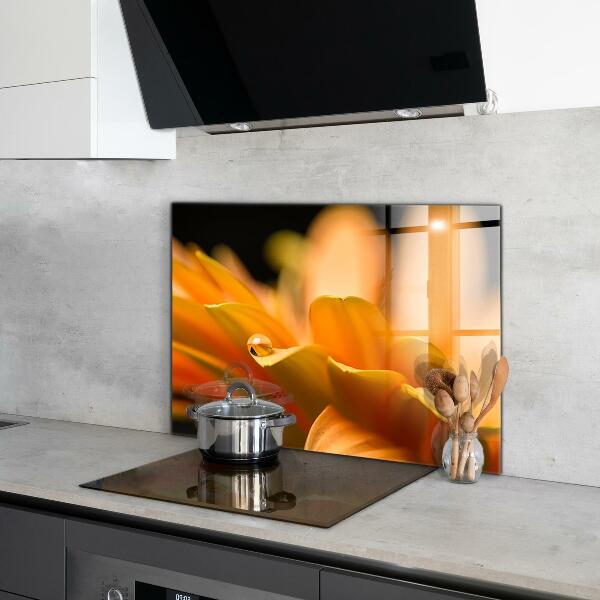 Zidna obloga za kuhinju Gerberjev cvet