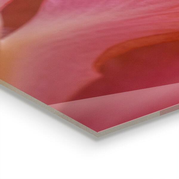 Zidna obloga za kuhinju Cvetni prah narava