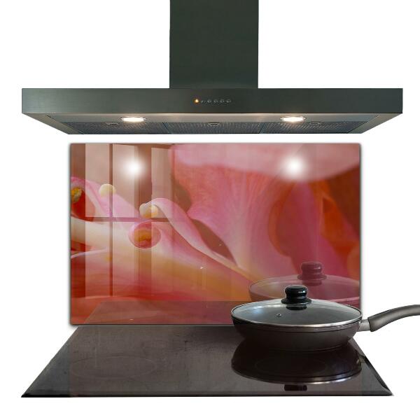 Zidna obloga za kuhinju Cvetni prah narava