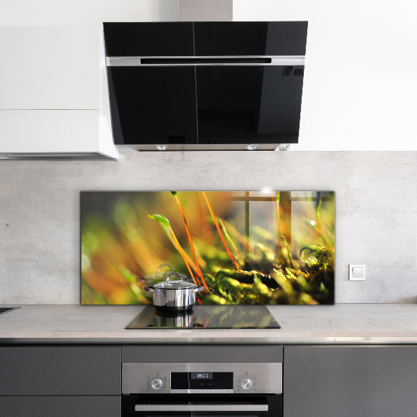 Zidna obloga za kuhinju Podrobnosti o gozdnem mahu