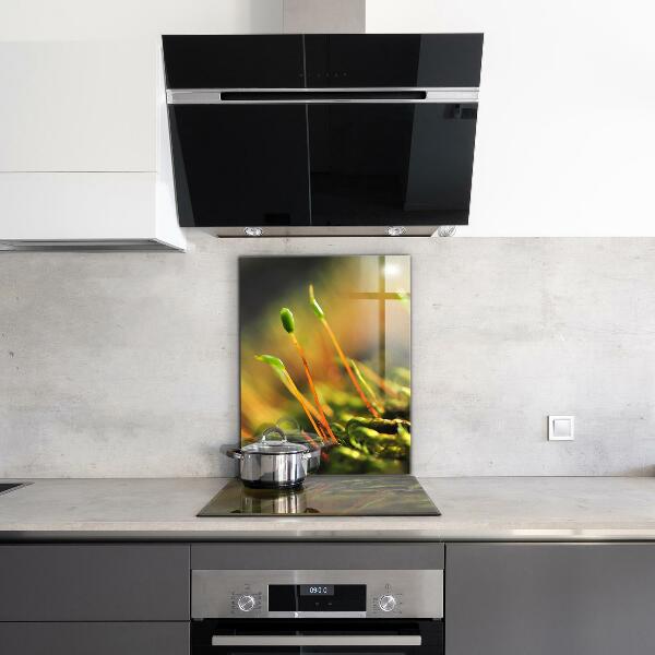 Zidna obloga za kuhinju Podrobnosti o gozdnem mahu