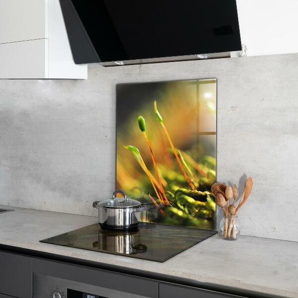 Zidna obloga za kuhinju Podrobnosti o gozdnem mahu