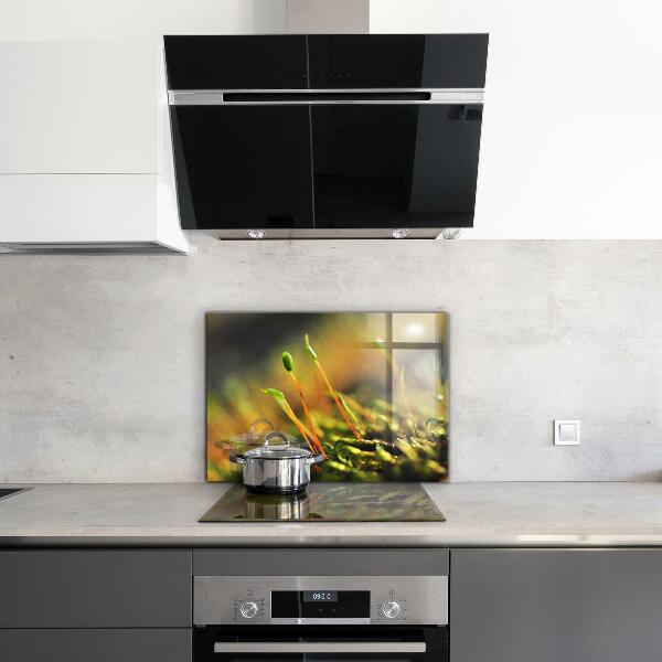 Zidna obloga za kuhinju Podrobnosti o gozdnem mahu