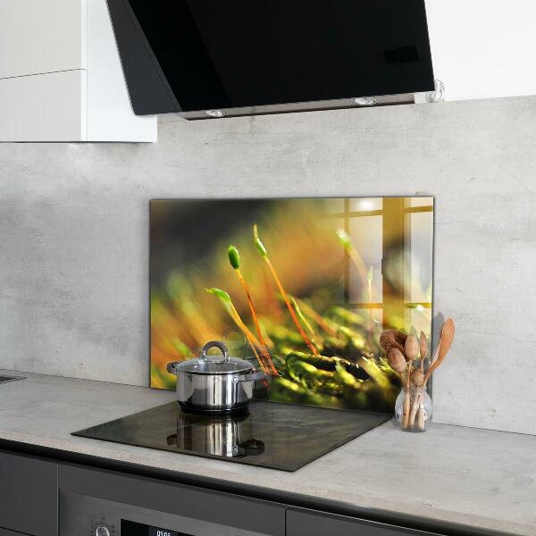 Zidna obloga za kuhinju Podrobnosti o gozdnem mahu