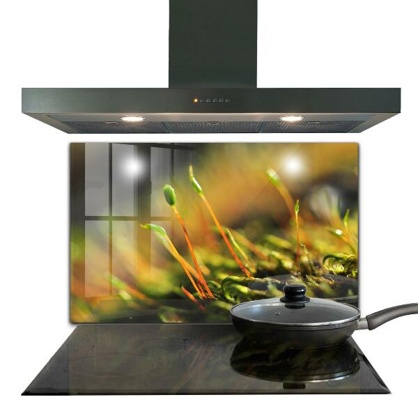 Zidna obloga za kuhinju Podrobnosti o gozdnem mahu