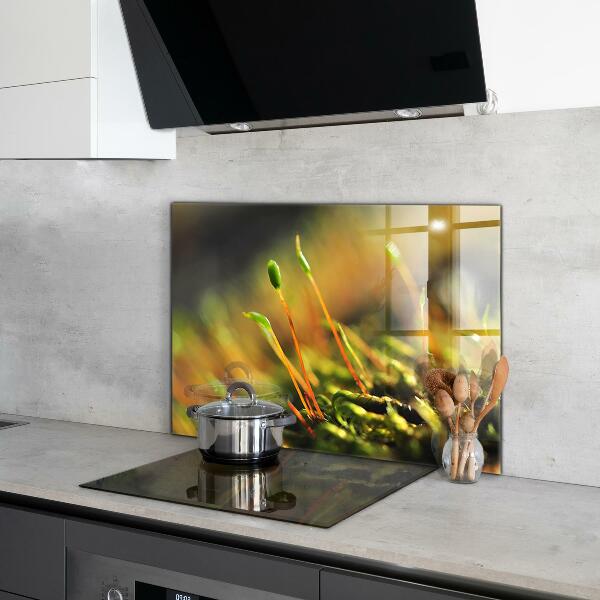 Zidna obloga za kuhinju Podrobnosti o gozdnem mahu