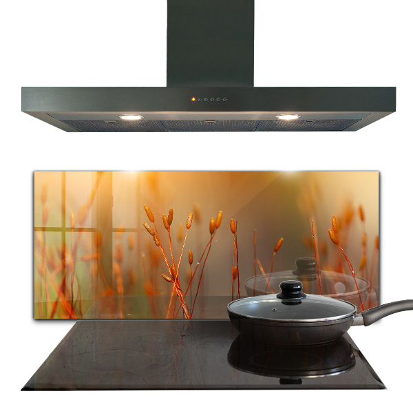 Zidna obloga za kuhinju Žitno polje ob sončnem zahodu