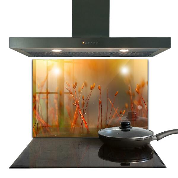 Zidna obloga za kuhinju Žitno polje ob sončnem zahodu