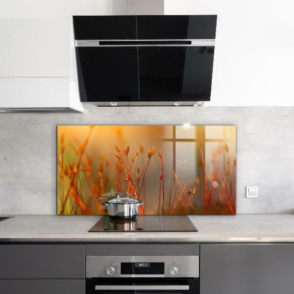 Zidna obloga za kuhinju Žitno polje ob sončnem zahodu
