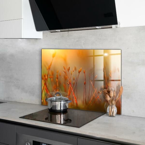 Zidna obloga za kuhinju Žitno polje ob sončnem zahodu
