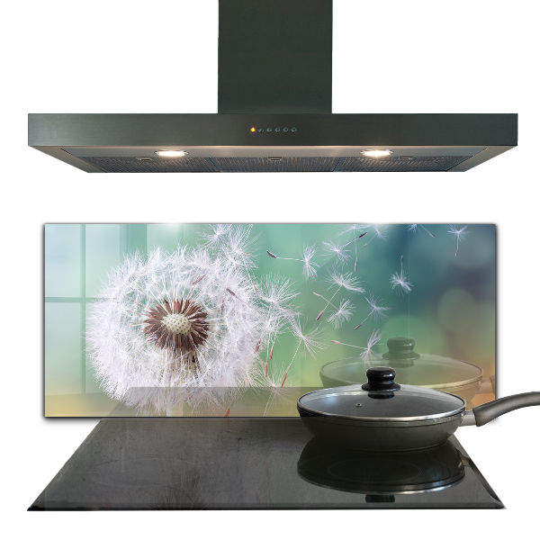 Zidna obloga za kuhinju Regrat regrat v vetru