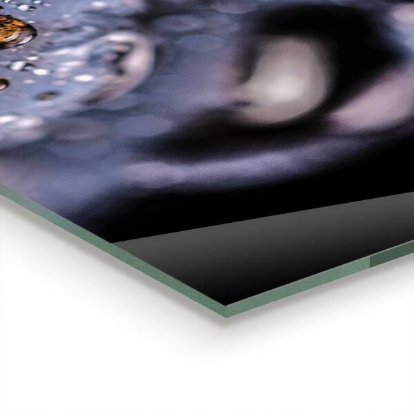 Stenska plošča za kuhinjo Sočne borovnice