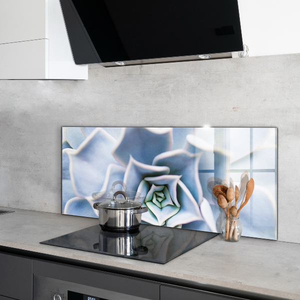 Zidna obloga za kuhinju Kaktus sukulent