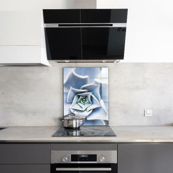 Zidna obloga za kuhinju Kaktus sukulent