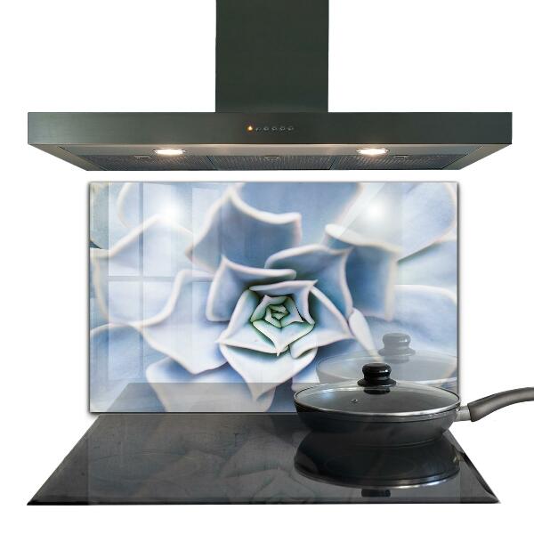 Zidna obloga za kuhinju Kaktus sukulent