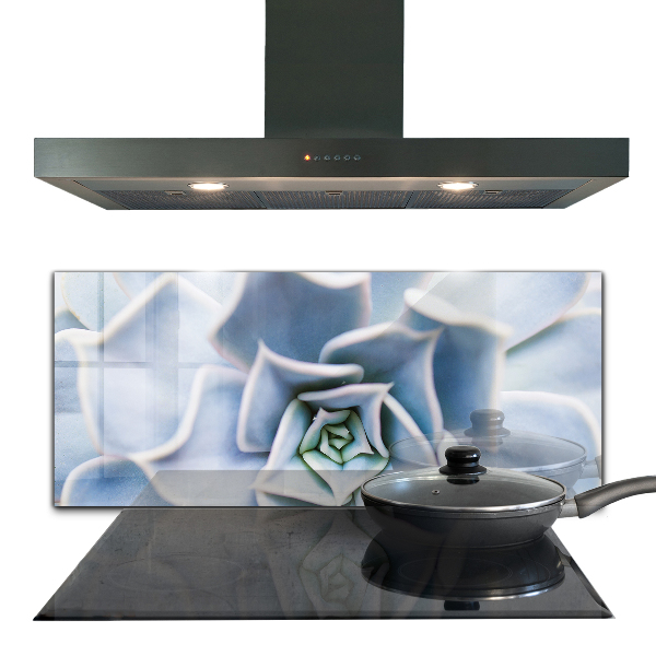 Zidna obloga za kuhinju Kaktus sukulent