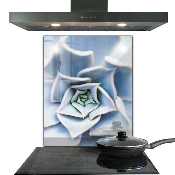 Zidna obloga za kuhinju Kaktus sukulent