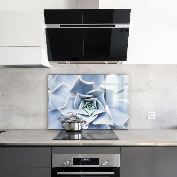 Zidna obloga za kuhinju Kaktus sukulent