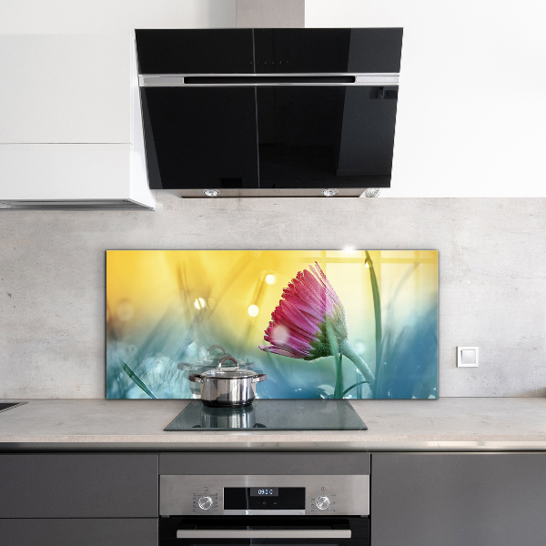 Zidna obloga za kuhinju Nežna marjetica na travniku