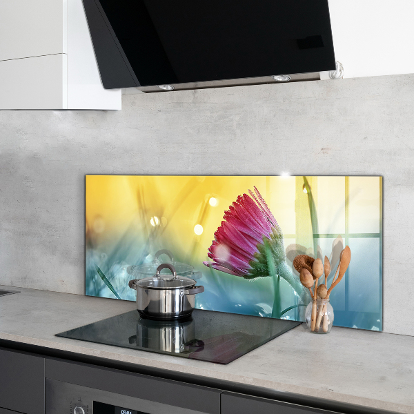 Zidna obloga za kuhinju Nežna marjetica na travniku