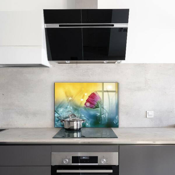 Zidna obloga za kuhinju Nežna marjetica na travniku