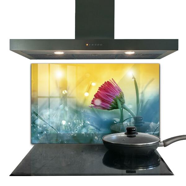 Zidna obloga za kuhinju Nežna marjetica na travniku