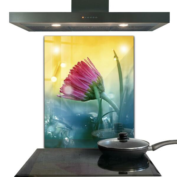 Zidna obloga za kuhinju Nežna marjetica na travniku