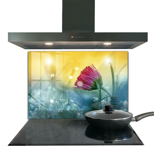 Zidna obloga za kuhinju Nežna marjetica na travniku