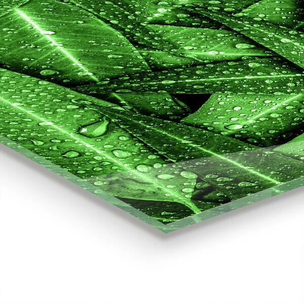 Zidna obloga za kuhinju Zeleni listi po dežju