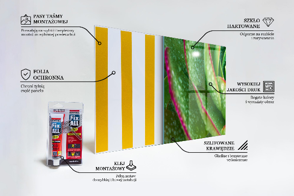 Zidna obloga za kuhinju Sukulentni skalnik zeleni vrt
