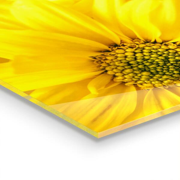 Zidna obloga za kuhinju Poletne rumene rože