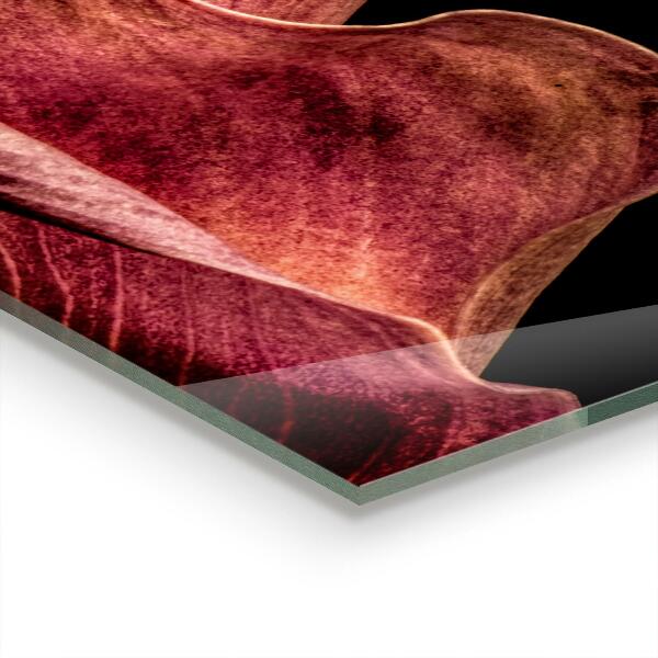 Zidna obloga za kuhinju Eleganten delicate leaf