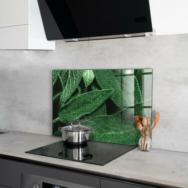 Zidna obloga za kuhinju Zeleni listi po dežju